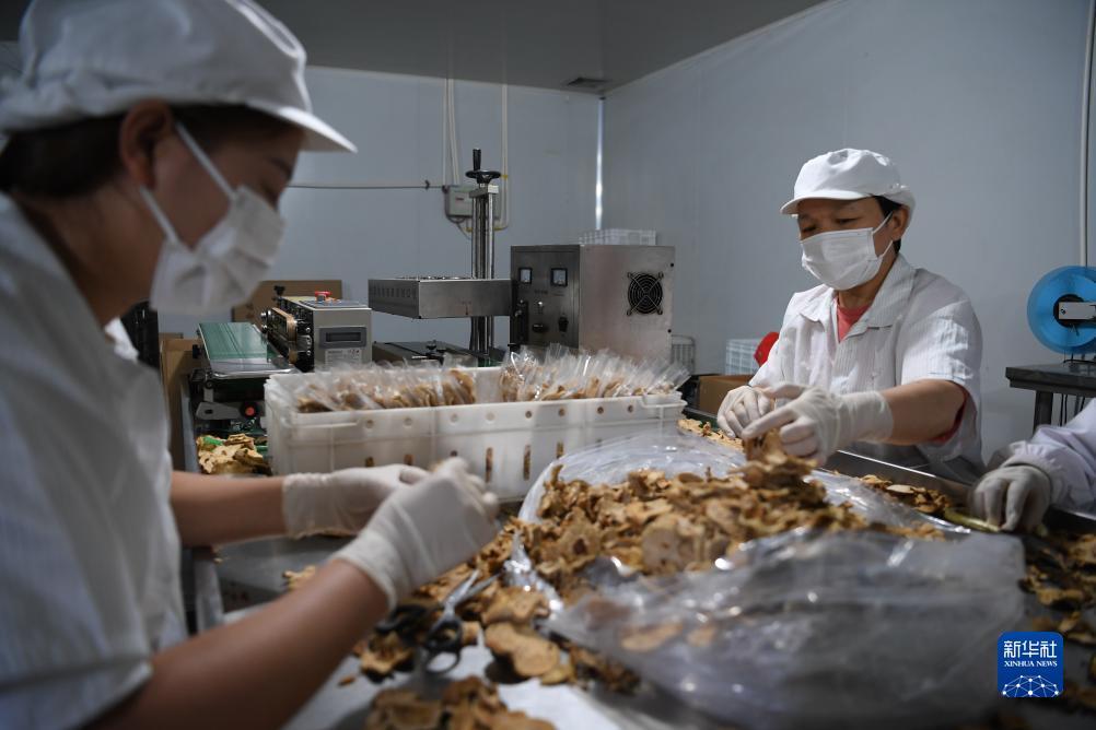 mg官方客户端